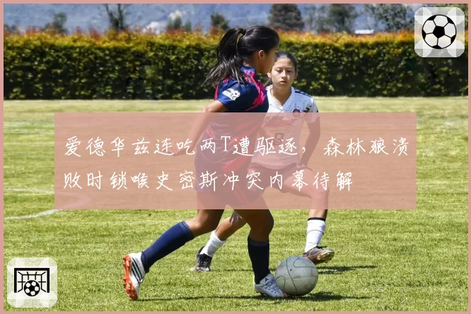 爱德华兹连吃两T遭驱逐,森林狼溃败时锁喉史密斯冲突内幕待解